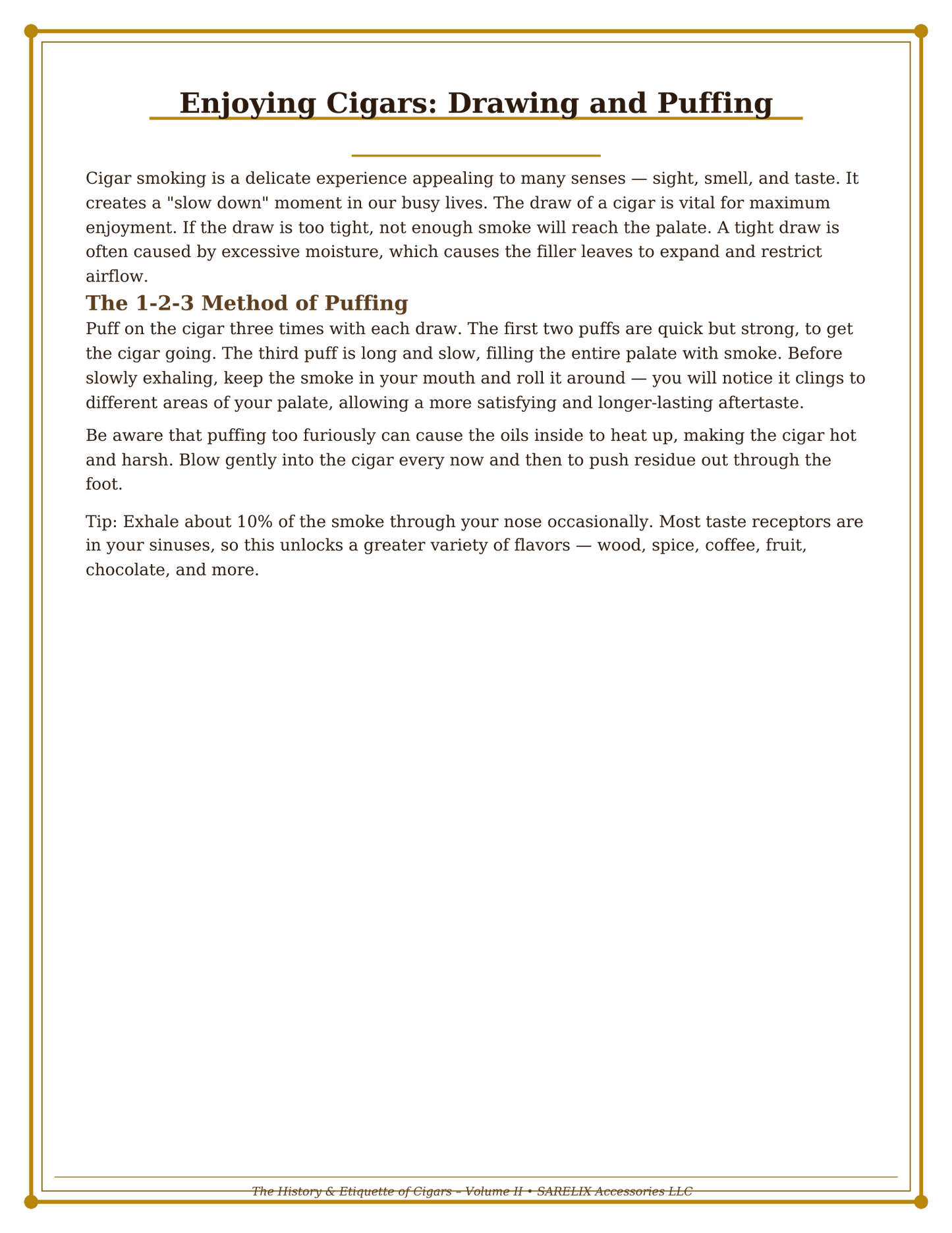 The Etiquette & History of Cigars Vol II